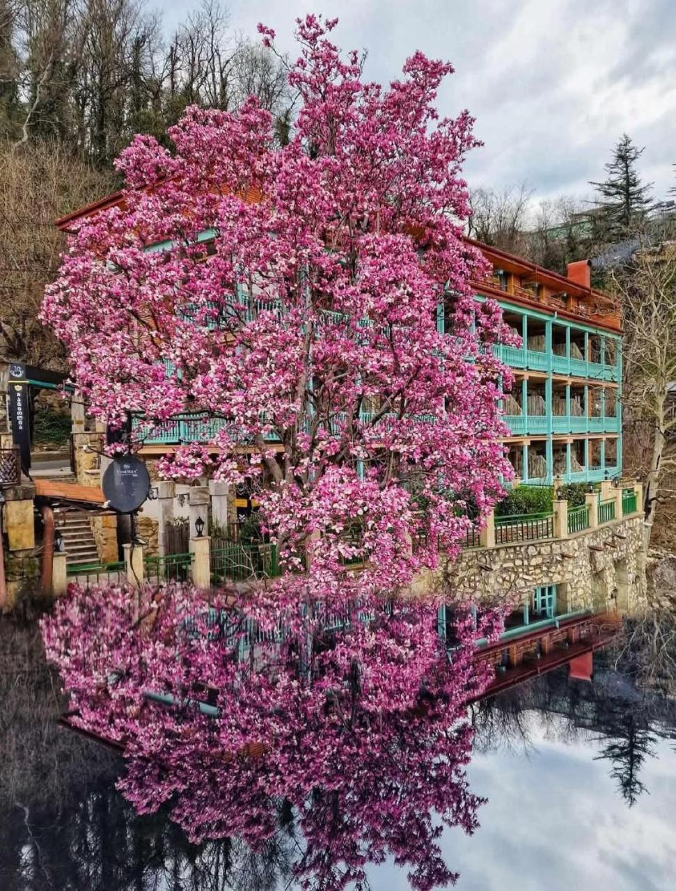 Old Tbilisi Narikala Apartment Екстер'єр фото